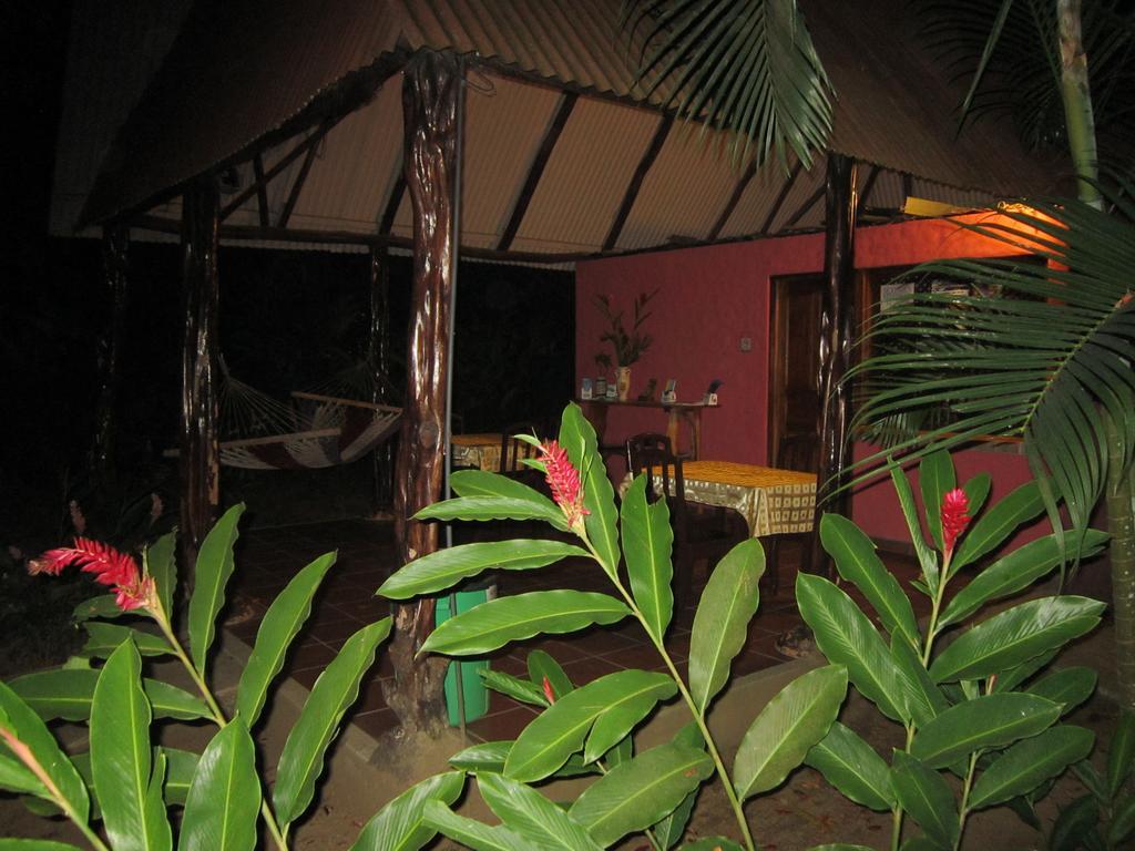 Hotel El Paraiso Escondido - Costa Rica 哈科 外观 照片