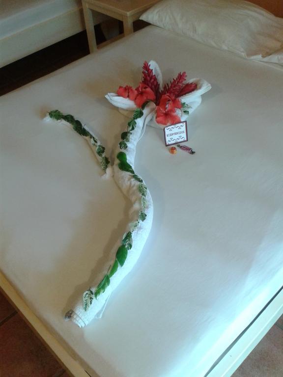 Hotel El Paraiso Escondido - Costa Rica 哈科 外观 照片