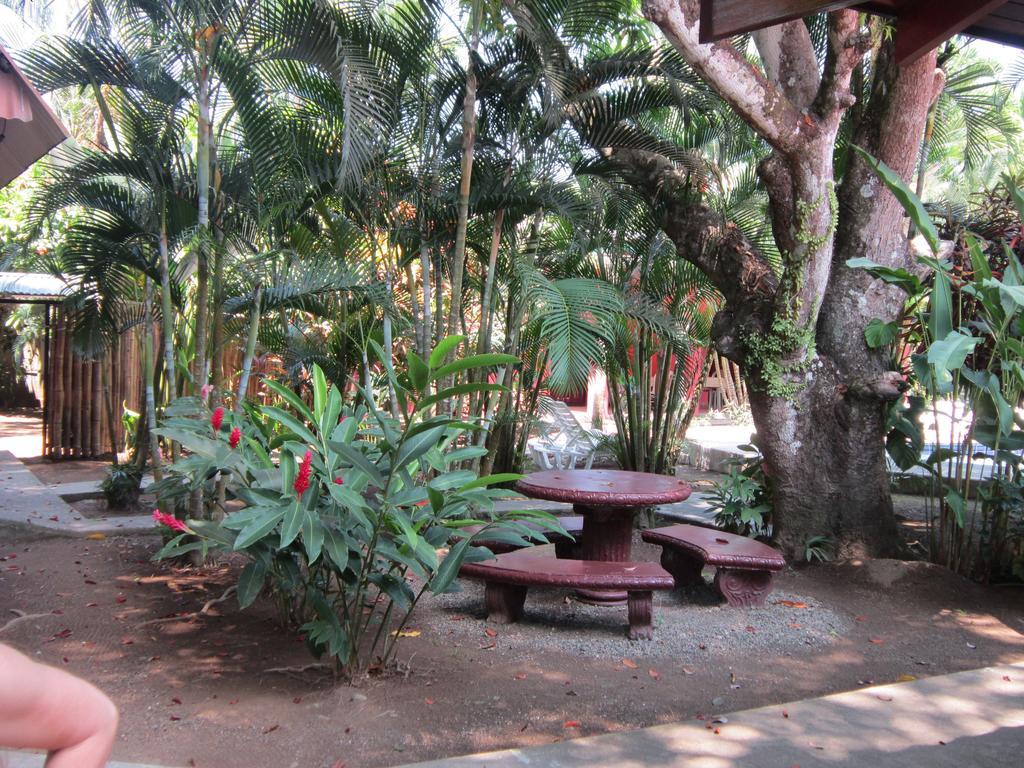 Hotel El Paraiso Escondido - Costa Rica 哈科 外观 照片