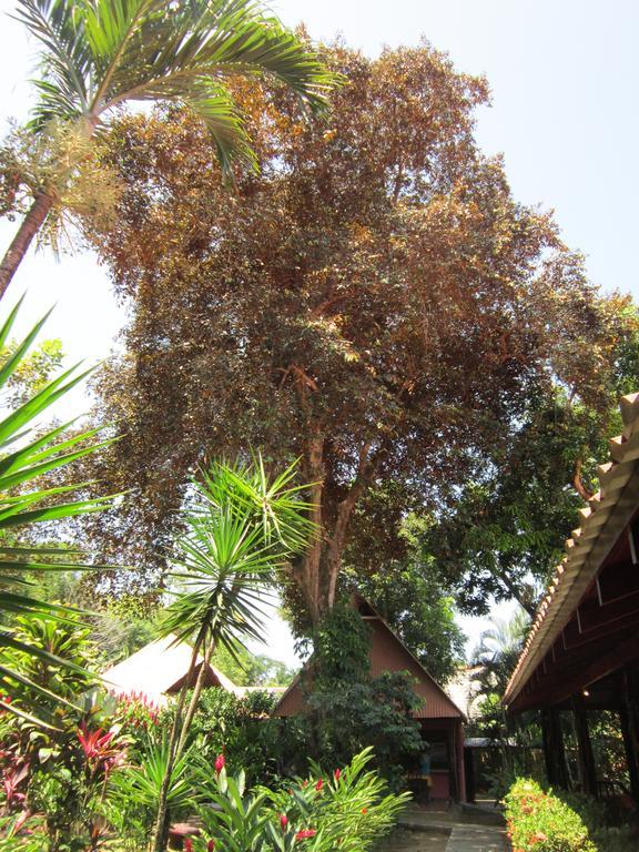 Hotel El Paraiso Escondido - Costa Rica 哈科 客房 照片