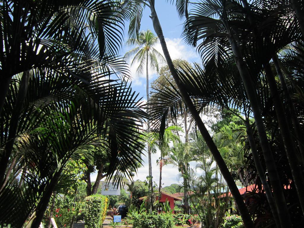 Hotel El Paraiso Escondido - Costa Rica 哈科 外观 照片