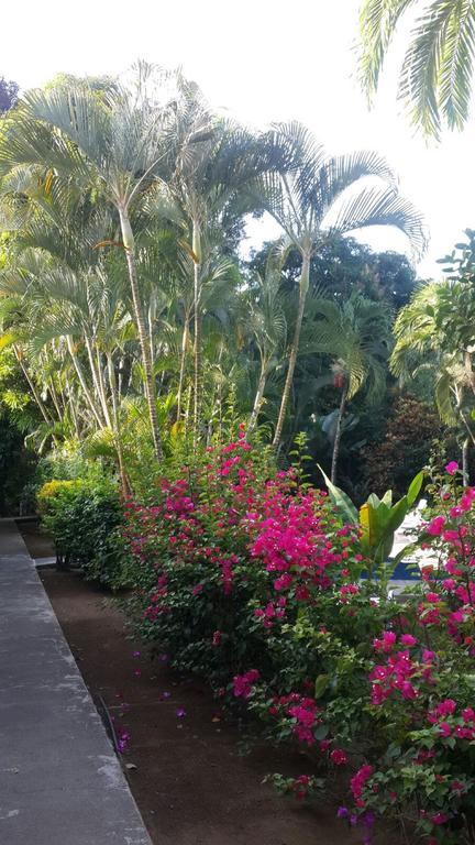 Hotel El Paraiso Escondido - Costa Rica 哈科 外观 照片