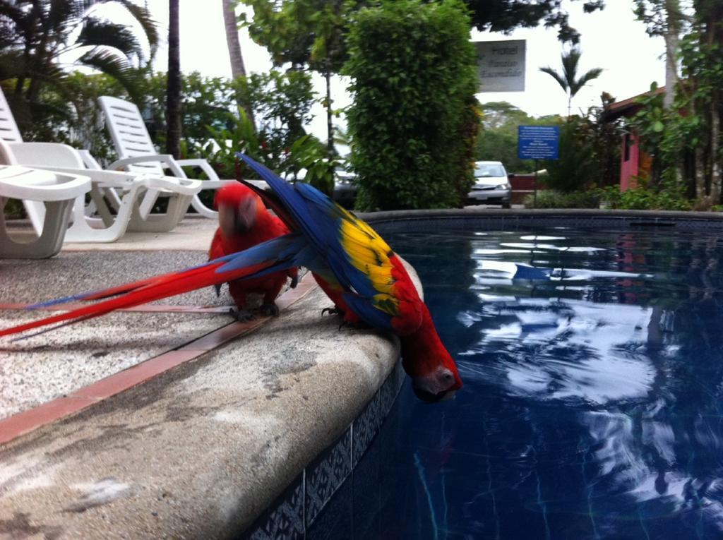 Hotel El Paraiso Escondido - Costa Rica 哈科 外观 照片