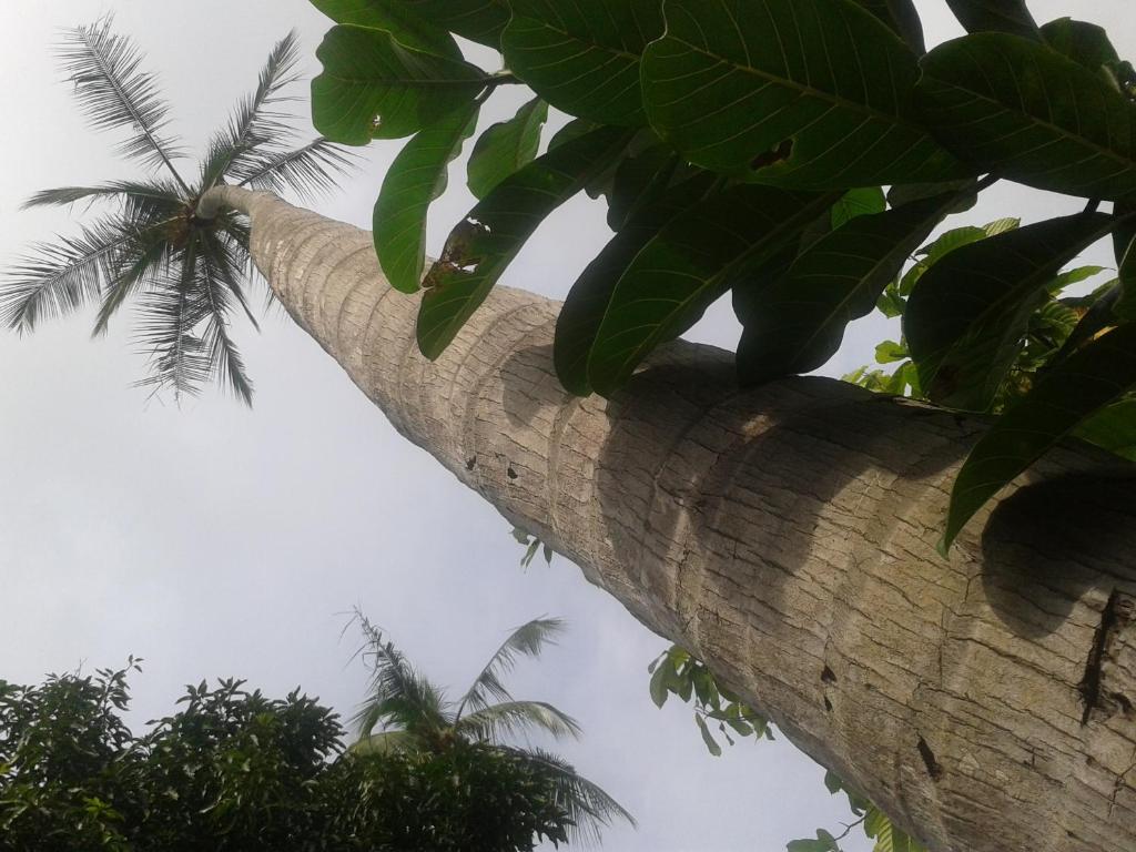 Hotel El Paraiso Escondido - Costa Rica 哈科 外观 照片
