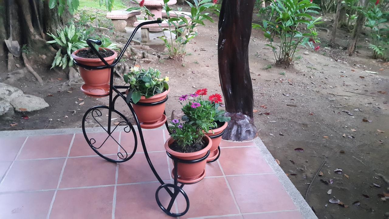 Hotel El Paraiso Escondido - Costa Rica 哈科 外观 照片