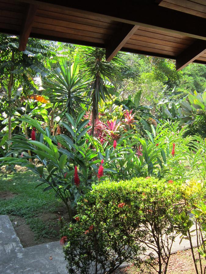 Hotel El Paraiso Escondido - Costa Rica 哈科 外观 照片