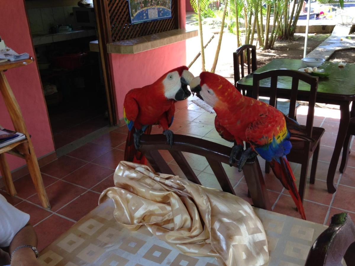 Hotel El Paraiso Escondido - Costa Rica 哈科 外观 照片